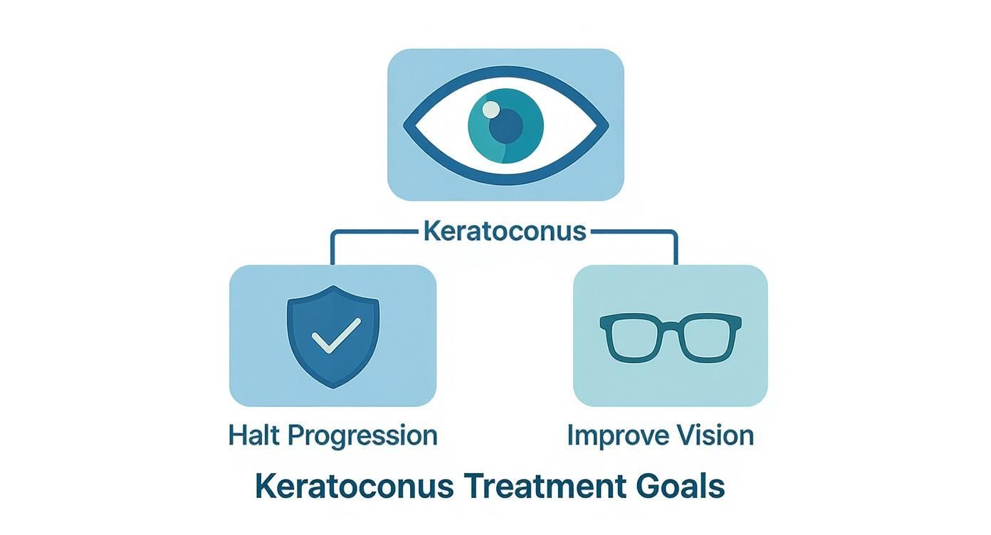 Keratoconus treatment goals infographic showing halt progression with shield and improve vision with glasses